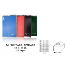 CERVANTES CUARTO 100 HOJAS 5X5 APAISADO PB264