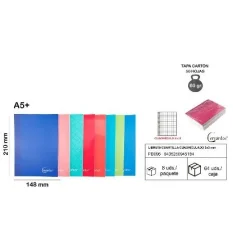 CUADERNO CUADRICULA A5+ 50H 60GR. CERVANTES